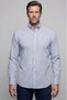 Blue Regular Fit Cotton Pocketless Shirt