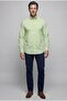 Green Regular Fit Pocketless Long Collar Shirt
