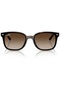Rb4461D 710 13 64 Unisex Sunglasses - 3