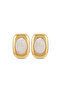 Steel Chain Earrings