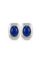 Steel Chain Earrings