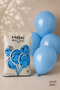 Pastel 12" Balon Hbk Baby Blue 100Pcs