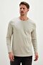 Basic Crew Neck Body - 2