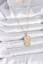 316l steel gold color chain capricorn zodiac sign zircon stone women necklace - 2