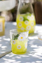 Fiona 4 Pieces 315 Cc Water Glass Set