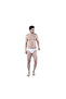Men’s Briefs 3-Pack | 100% Combed Cotton | Breathable & Skin-Friendly - White - 3