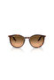 RB 2204 14293B 54 نظارات شمسية للجنسين - 5