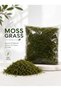 200g Real Dried Moss Grass