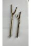 100% Natural Baked Tree Branch Bird Perch—Parakeet, Canary, Paradise (Broken-Ended)(1 Piece) - 5