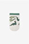 Boy's Sleepasaurus Prince Patterned Cotton 3 Pairs Booties Socks - 3