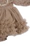 Baby Girl Brown Lace Tulle Bodysuit Dress - 4