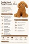 Poodle Dog Plush Toy Soft Cute Brown Poodle Gift Decorative 33 cm - 2