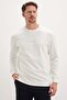 Embossed Printed Green Crew Neck Sweatshirt - 4