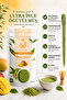 Seven Matcha Set (Pure Matcha-Flavored Matchas and Matcha Latte Powder Totaling 500 Grams) - 5
