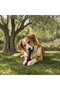 Natural Olive Tree Dog Chew Toy - Special Production Preserved in Olive Oil S Size Chew - 8