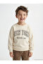 Timeless Clothing & Timeless Choices New York Printed Boys' Thick Sweatshirt