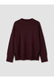 Lcw Modest Burgundy Crew Neck Women's Knitwear Sweater - 5