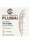 Solid Concept Pluma Aynalı Pleksi Duvar Dekoru