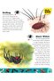 Bugs Dinosaur Dictionary - 3