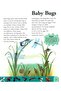 Bugs Dinosaur Dictionary - 2