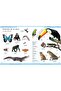 First Spanish Dictionary - A First Reference Book For Children - 3