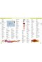 First Spanish Dictionary - A First Reference Book For Children - 2