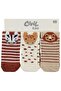 Animal 3-Piece 6-Piece Baby Boy Sock Set - 6