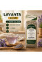 LAVANTA 40 GR - 4