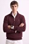 Men's Half-Zip Stand Collar Thessaloniki Sweatshirt - Cherry