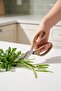 Elitecraft Stainless Steel Kitchen Scissors - 21 cm - 2