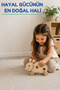 Wooden Ladybug Toy Natural Handmade Paintable Educational Toy + 6-Piece Paint Set Gift - 2