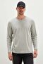 Basic Crew Neck Bodysuit