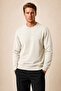 Lines Regular Fit Winter Sweatshirt Stone