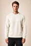 Lines Regular Fit Winter Sweatshirt Stone - 3