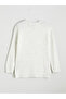 Crew Neck Self-Patterned Women's Knitwear Sweater - 8
