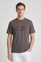 Men Crew Neck Short Sleeve Graphic Print T-Shirt, Dark Grey