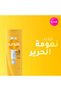 شامبو للشعر الجاف 700 مل - 2