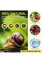Snail Mucin 92% Repair Cream 100g, Face Moisturizer Hydrating Repair Face Cream for Dry & Sensitive - 8