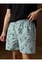 Men Green Striped Peanuts Snoopy Boxers - 2