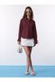 Burgundy Regular Fit Long Sleeve Shirt - 3