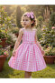 Pink Gingham A-Line Knee-Length Dress - 6