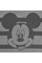 Boy's Gray Striped Mouse Printed 2-Piece Set - 4