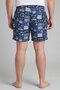 Men Graphic Print Board Shorts, Multicolor - 4