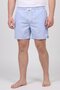Men Embroidered Logo Board Shorts, Baby Blue