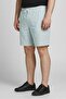 Men Plain Basic Shorts, Sage Green - 3