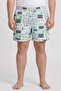 Men Graphic Print Board Shorts, Multicolor