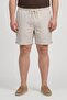Men Regular Fit Chambray Basic Shorts, Beige
