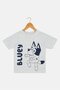 Toddlers Boy Graphic Print Short Sleeve T-Shirt, Grey - 2