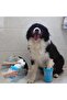 Welfare Dog Paw Washing Apparatus Small (K0) - 2