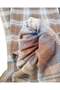 Coffee Petrol Blue Beige Plaid Jacquard Interlock Fabric Cardigan & Sweater Fabric 150X250Cm - 6